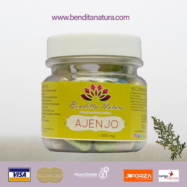 ¿Que es el Ajenjo ?

es una planta herbácea medicinal, del género Artemisia, nativa de las regiones templadas de Europa, Asia y norte de África. Conocida desde la antigüedad ya por los egipcios, transmitida después a los griegos.